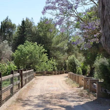 Tenuta Negroamaro 4* 加利波利