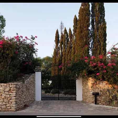Tenuta Negroamaro
