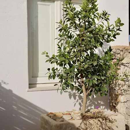 Hotel Tenuta Negroamaro