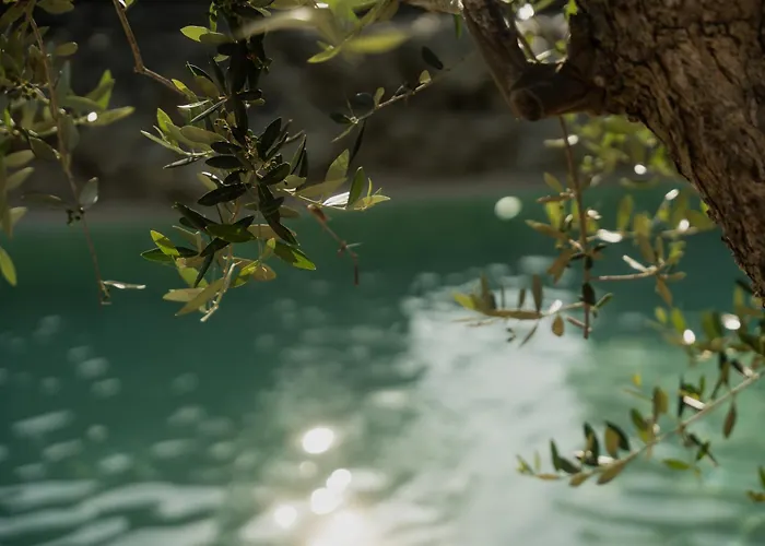 Tenuta Negroamaro 4*