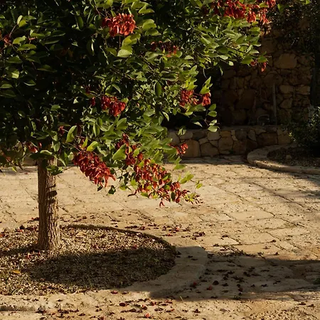 Готель Tenuta Negroamaro