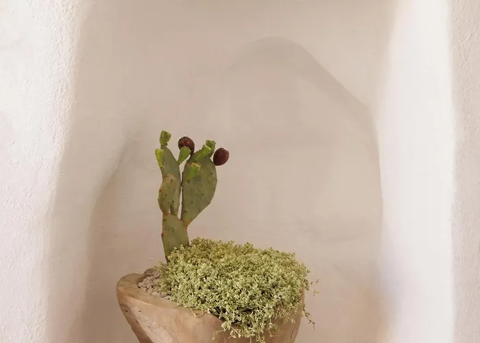 Tenuta Negroamaro 4* Gallipolli