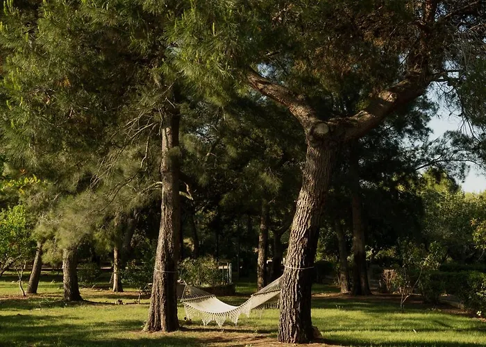 Tenuta Negroamaro 4*